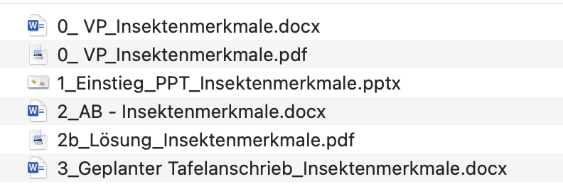 Alle Dateien der einzelnen Unterrichtsstunden werden strikt nummeriert und mit Kürzeln belegt.